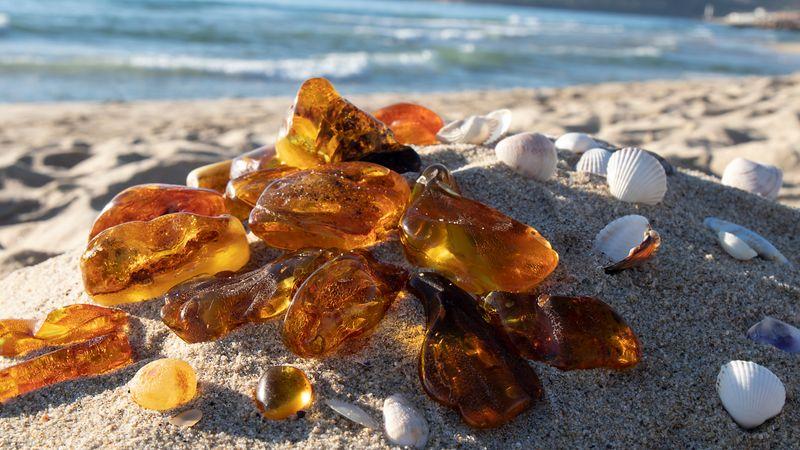 amber-m-4