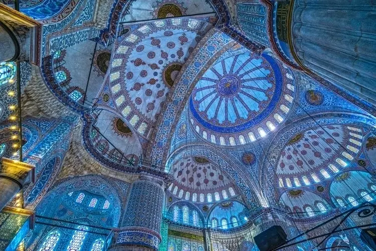 MoscheaBlu
