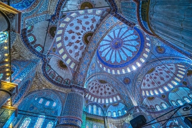MoscheaBlu