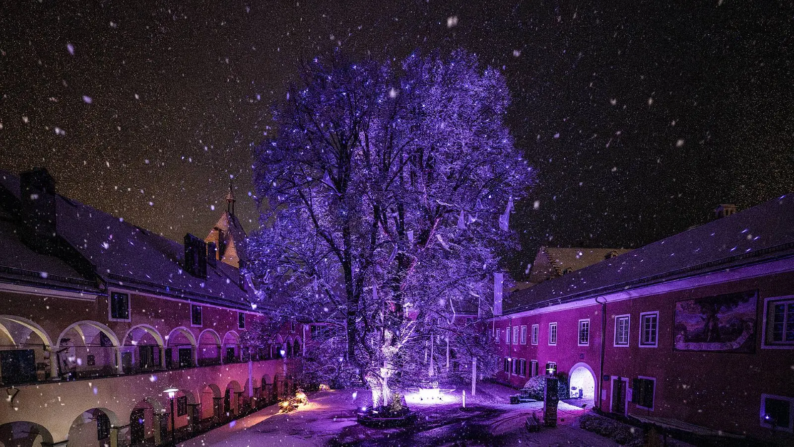 csm_Millstaetter_Lichtweg_im_Advent_Familie_Millstaetter_See_Winter__c_Gert_Perauer_MBN_Tourismus__2__574bd6e292
